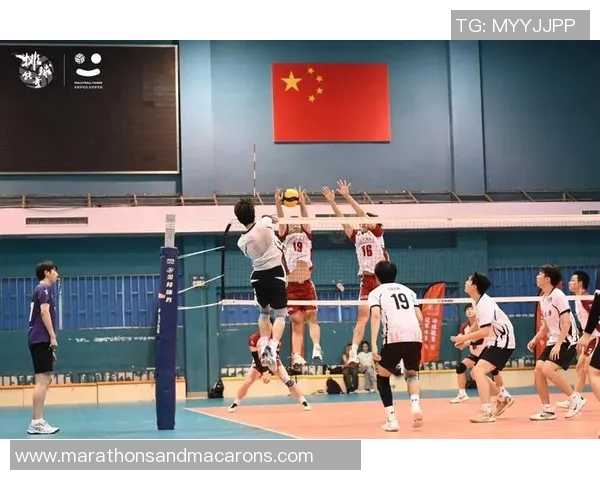 上海排球队实力不容小觑排球力量排行榜中荣获第八名 上海排球队实力不容小觑排球力量排行榜中荣获第八名