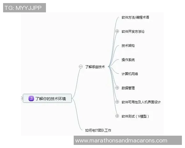 南京排球队在城市联赛中的心理素质表现分析与启示 南京排球队在城市联赛中的心理素质表现分析与启示