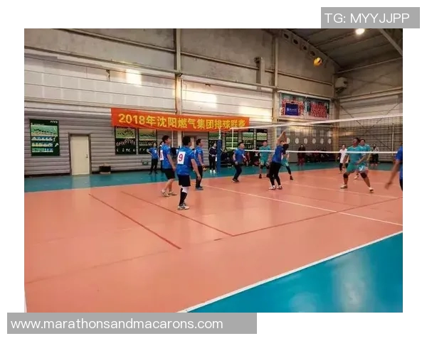 广州排球队实力强劲荣登全国排球力量排行榜第四名