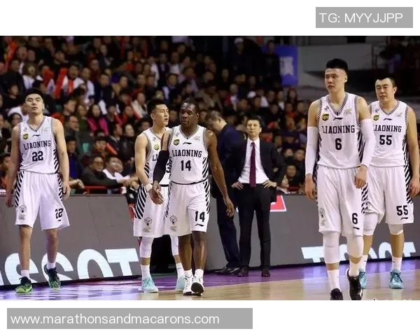 成都篮球队比赛经验分析及表现评估的深度研究与探讨 成都篮球队比赛经验分析及表现评估的深度研究与探讨