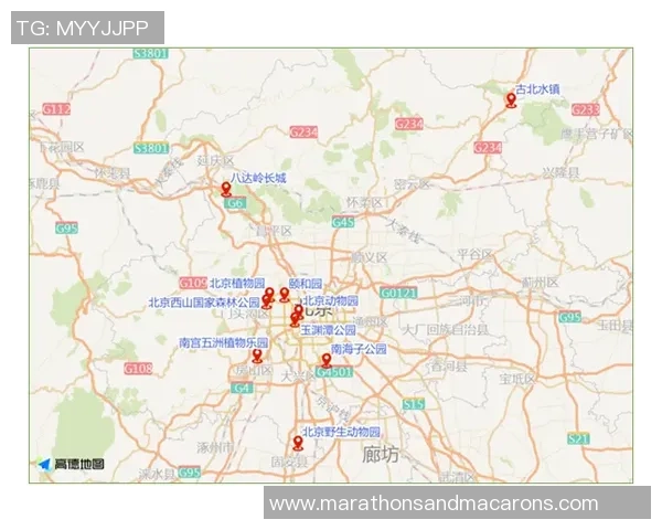 深入分析北京篮球队的整体压制战术及其在比赛中的应用效果