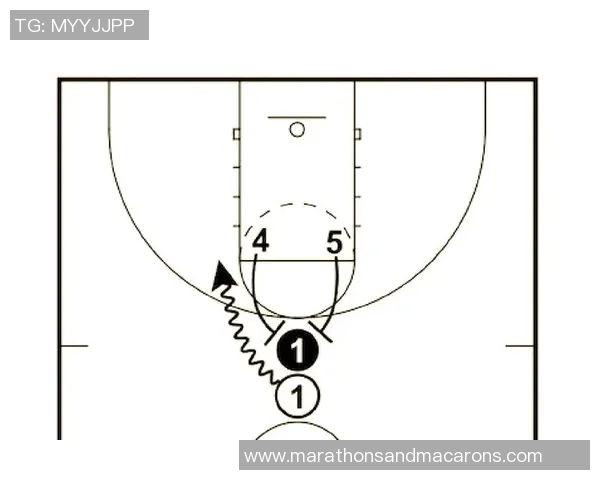 深入解析杭州篮球队战术表现与数据分析的关联性与影响因素