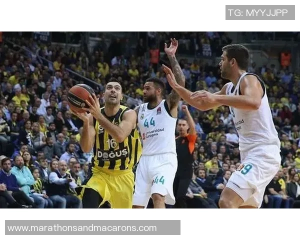 深圳排球队强势领跑总决赛积分榜以79分稳居第一 深圳排球队强势领跑总决赛积分榜以79分稳居第一