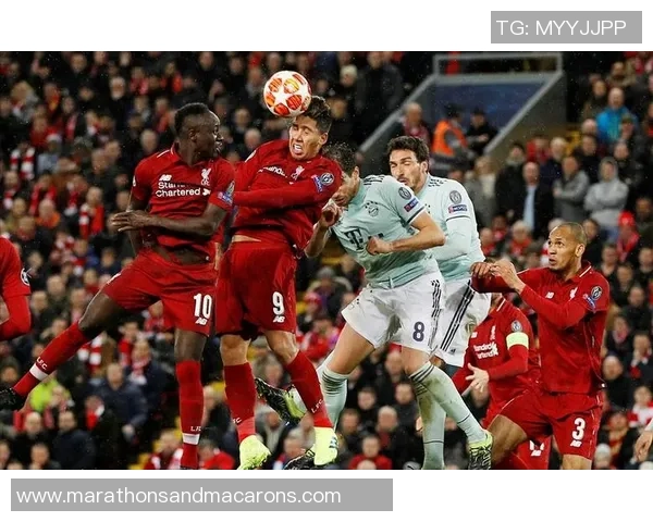 赛后复盘:上海排球队与深圳排球队的战术意识与团队协作分析 赛后复盘:上海排球队与深圳排球队的战术意识与团队协作分析