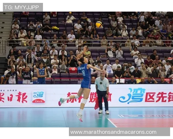 排球战术：深圳排球队的运营体系