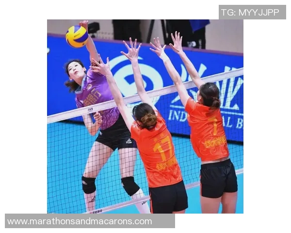 大满贯点评：深圳排球队的战术表现