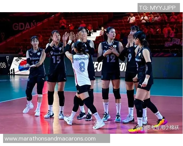 2026排球战术排行榜：成都排球队位居第4名