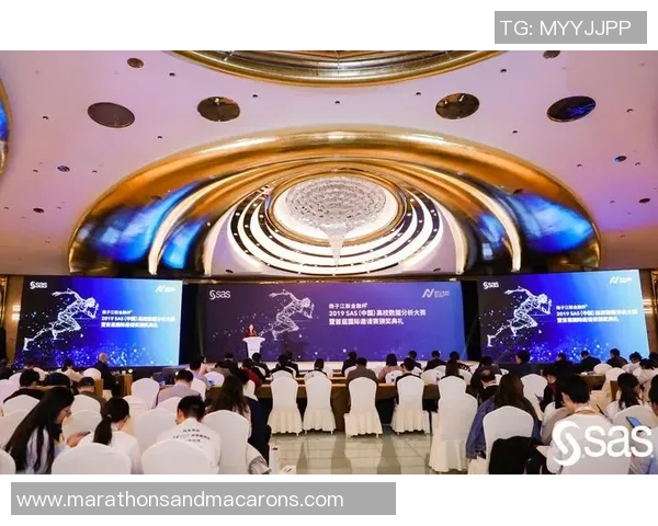 数据分析：南京极限运动队的实力表现