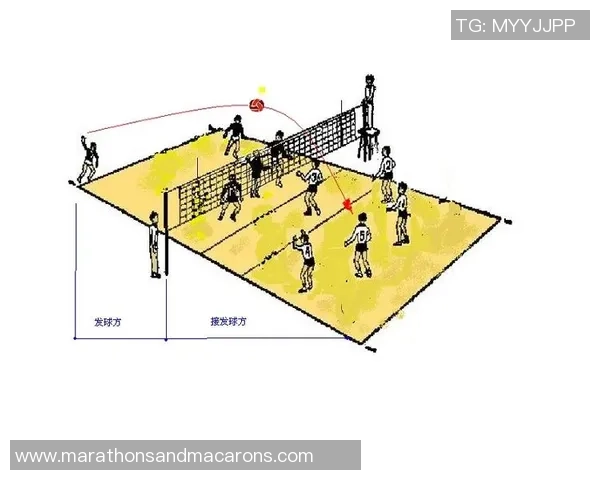 排球战术:深圳排球队的转换体系 排球战术:深圳排球队的转换体系