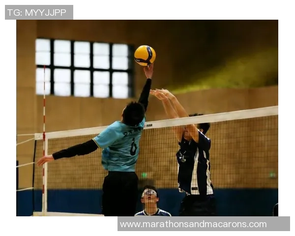 2026排球意识排行榜：重庆排球队位居第10名