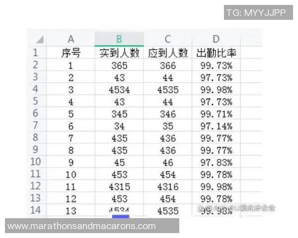 数据分析:武汉飞盘队的灵活性表现 数据分析:武汉飞盘队的灵活性表现
