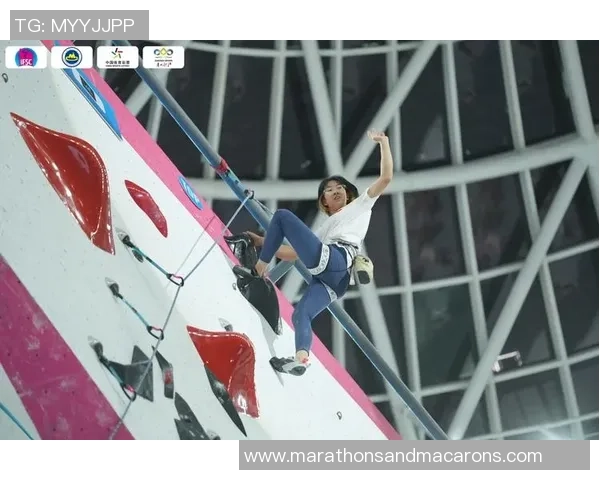 2026攀岩灵活性排行榜：重庆攀岩队位居第3名