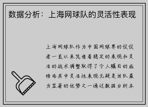 数据分析：上海网球队的灵活性表现