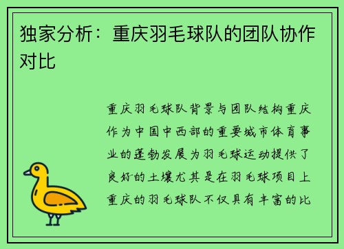 独家分析：重庆羽毛球队的团队协作对比