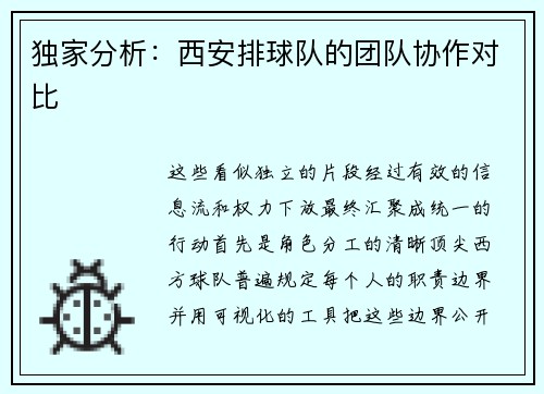 独家分析：西安排球队的团队协作对比